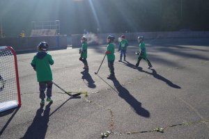 Svit Hokejbalová liga 2015/2016