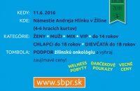 Žilina Streetball proti rakovine - Propozície